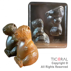 PLACA FIGURA CARPINCHOS LR x 10